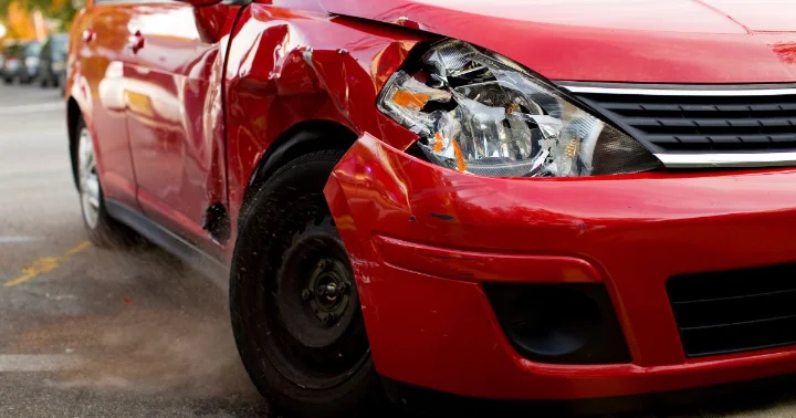 What to Do if a Wildlife Vehicle Collision Happens?